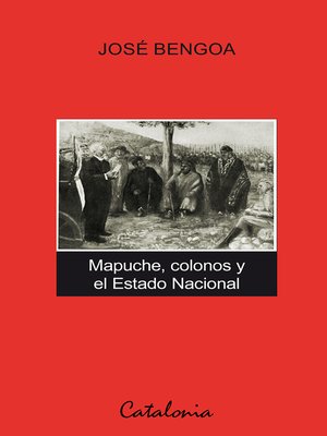 cover image of Mapuche, colonos y el Estado Nacional